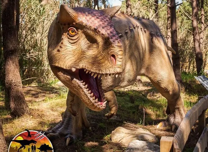 度假居 House In The Historic Area Of